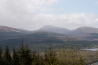 IMG_6637.jpg